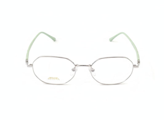 fashion metal frame 1002